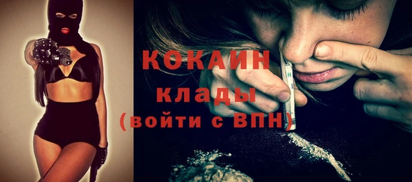 гидра Богданович