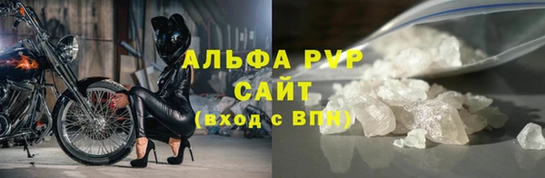 гидра Богданович