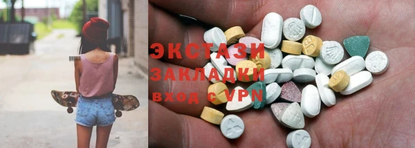 гидра Богданович
