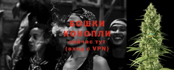 стаф Богородицк