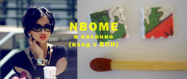 гидра Богданович