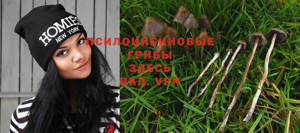 стаф Богородицк