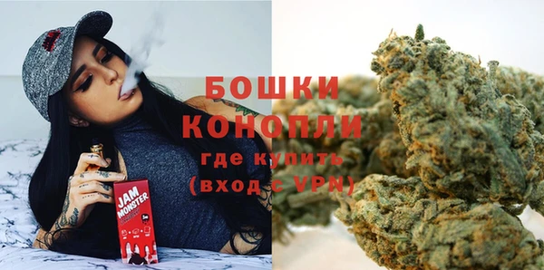 стаф Богородицк
