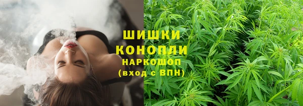 гидра Богданович