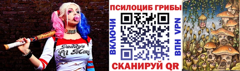 купить наркотик Долинск Галлюциногенные грибы GOLDEN TEACHER